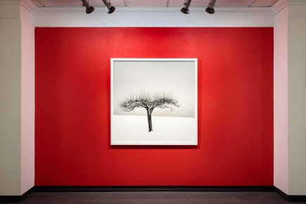 Winter, Under the Sun - First Canadian Place Gallery