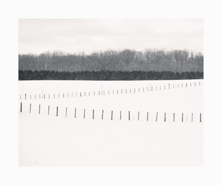 62 Fence Posts