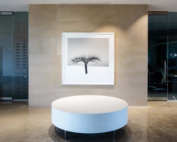 Global Furniture Group - Peter Dusek