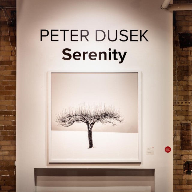 Peter Dusek - Serenity - Abbozzo Gallery