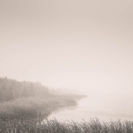 Island Lake Fog