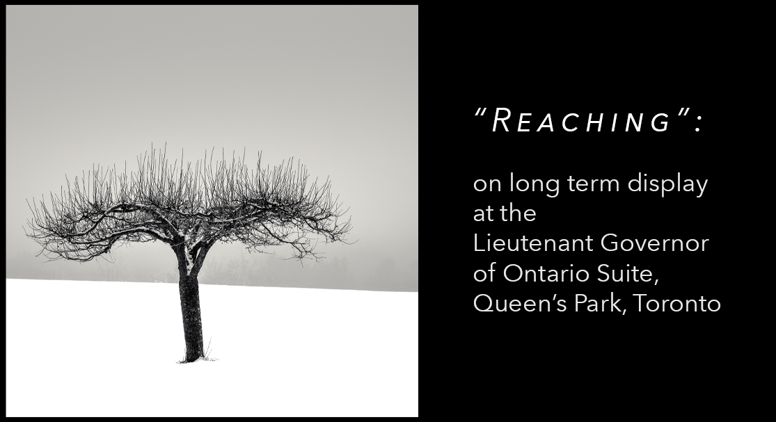 "Reaching", by Peter Dušek, at the Lieutenant Governor of Ontario Suite